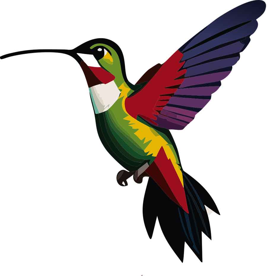Humming-bird-1